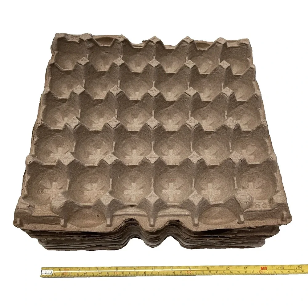 30-Count Biodegradable Pulp Fiber Egg Flat Cartons‎ - 20 Pack - Used & Clean
